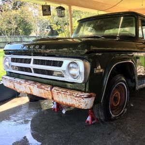 Meet your Posher, Trent